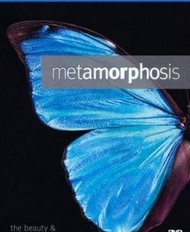 Metamorphosis: The Beauty and Design of Butterflies | Blu-Ray DVD | Illustra Media