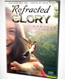 Refracted Glory, an awesome hummingbird documentary