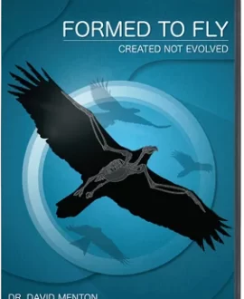 Formed To Fly DVD 2022