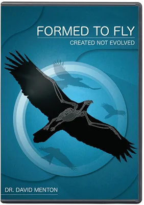 Formed To Fly DVD 2022