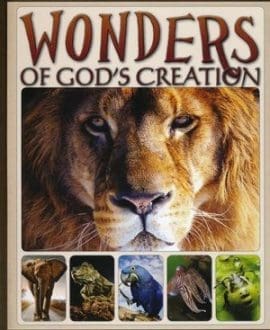 Wonders of God's Creation