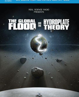 Global Flood and Hydroplate Theory 1