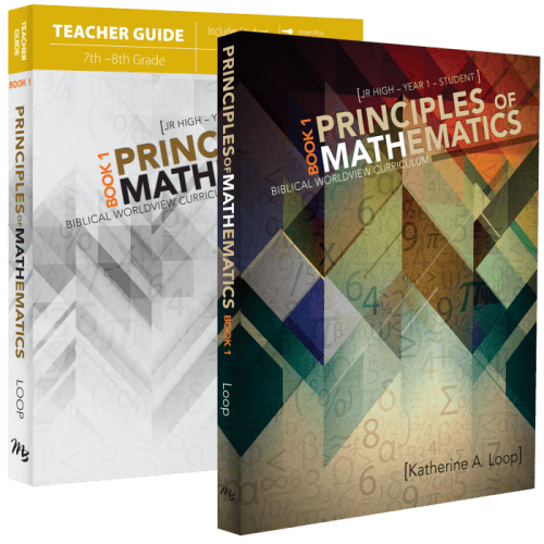 Principles of Mathematics | Year 1 | Text & Workbook Set