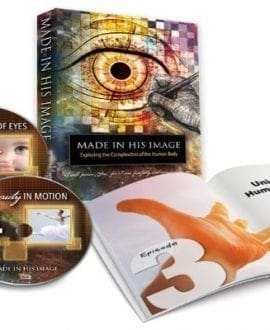 DVD Life's Story 2: The Reason for the Journey [DVD](品)