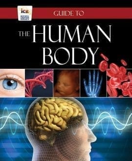 Guide to the Human Body Book