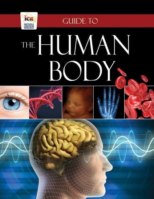 Guide to the Human Body Book