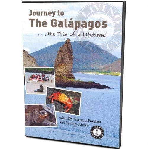 Journey to the galapagos