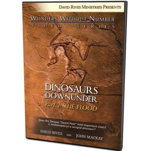 Dinosaurs Down Under | Part 2: The Flood DVD