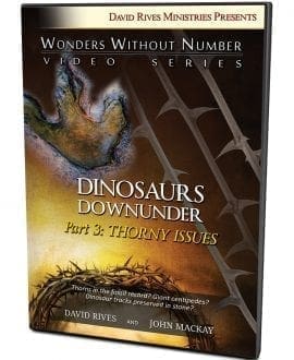 Dinosaurs Down Under | Part 3: Thorny Issues DVD