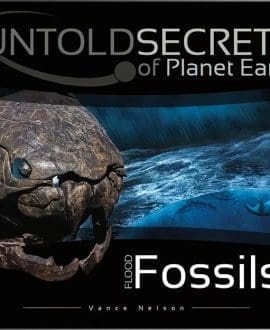 Flood Fossils