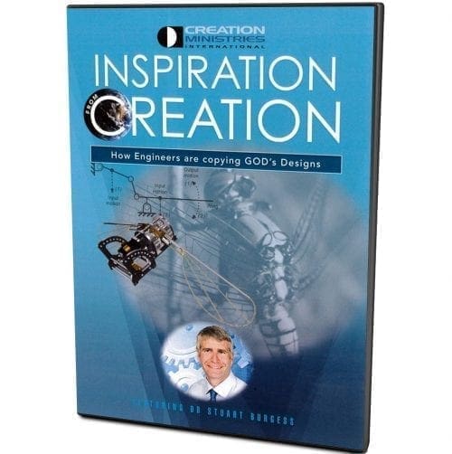 Inspiration from Creation