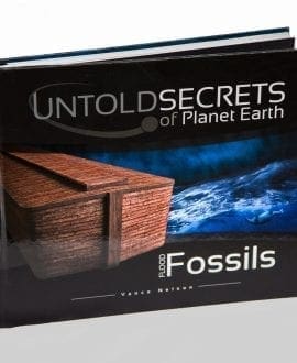 flood fossils