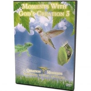 Moments with God's Creation 3 DVD
