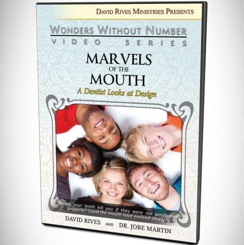 MARVELS OF THE MOUTH A Dentist Looks at Design DVD