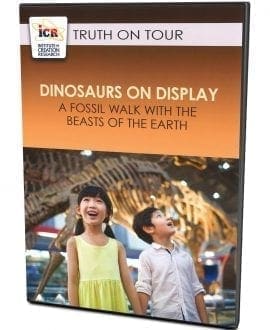 Dinosaurs On Display