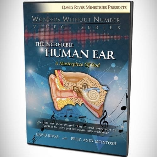 The Incredible Human Ear - A Masterpiece of God DVD
