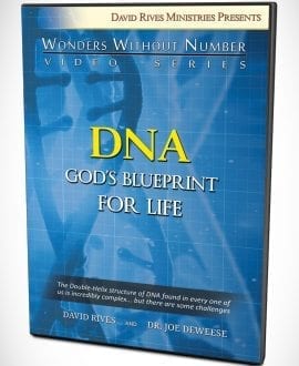 DNA - God's Blueprint For Life DVD