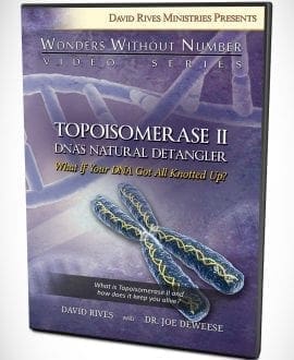Topoisomerase II - DNA's Natural Detangler DVD