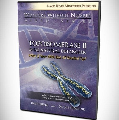 Topoisomerase II - DNA's Natural Detangler DVD