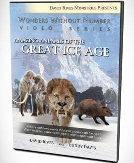 Amazing Animals Of The Great Ice Age DVD