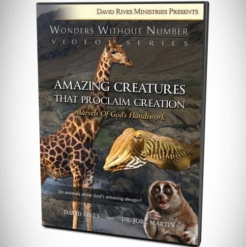 Amazing Creatures That Proclaim Creation DVD