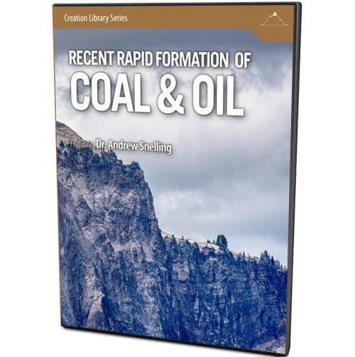 recent rapid formation of coal & oil