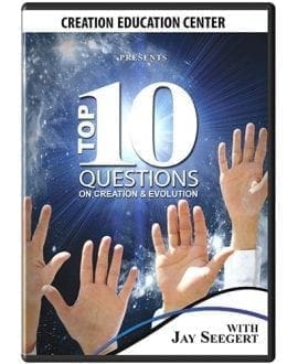 Top 10 Questions Seegert