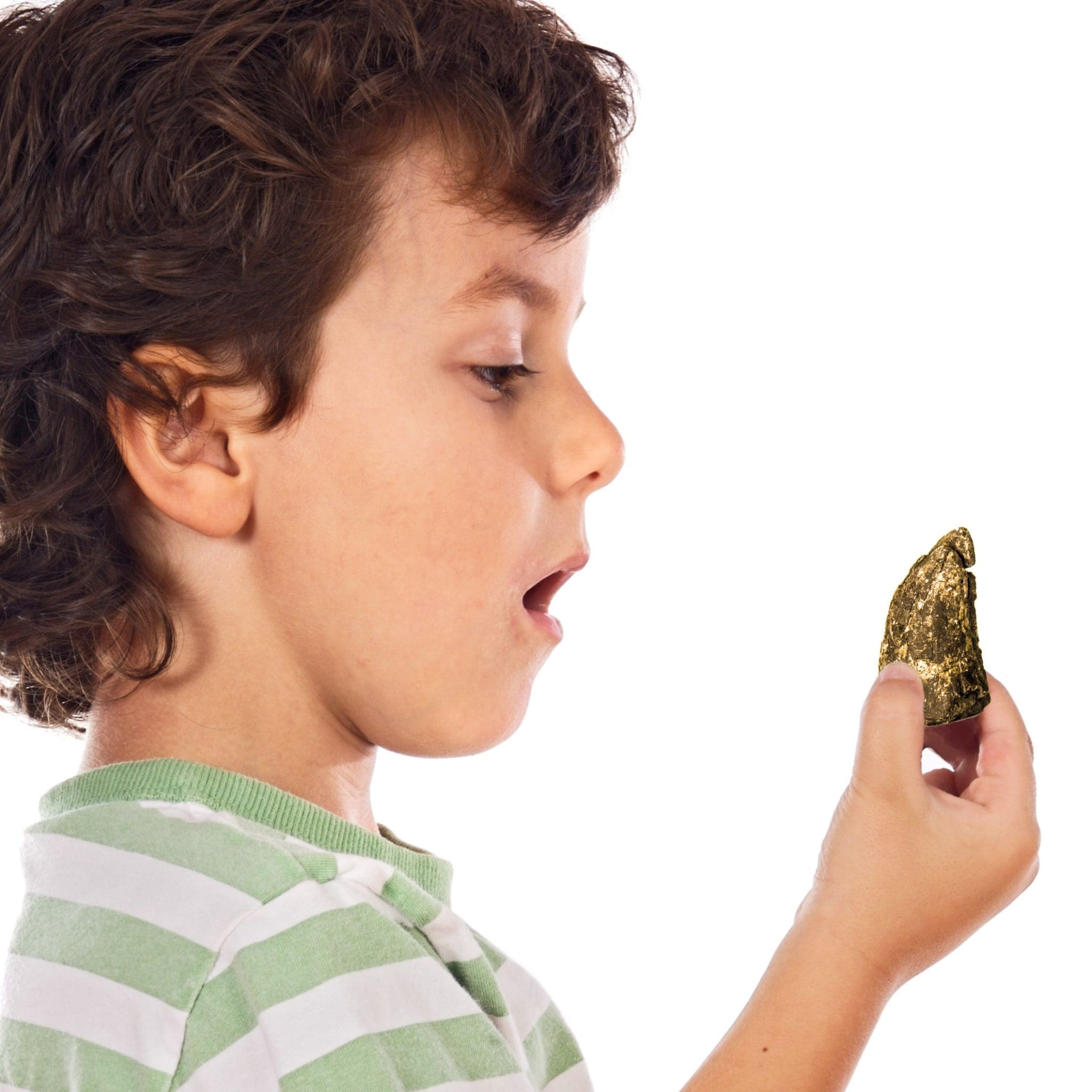 Boy holding T-Rex tooth tip