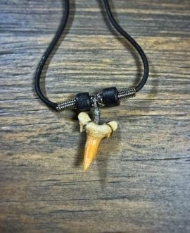 Shark Tooth Necklace