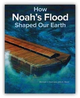How Noah's Flood Shaped Our Earth Book