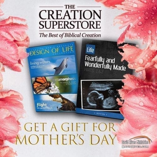Mother's Day Design of Life Special