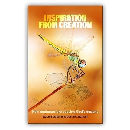 Inspiration from Creation book