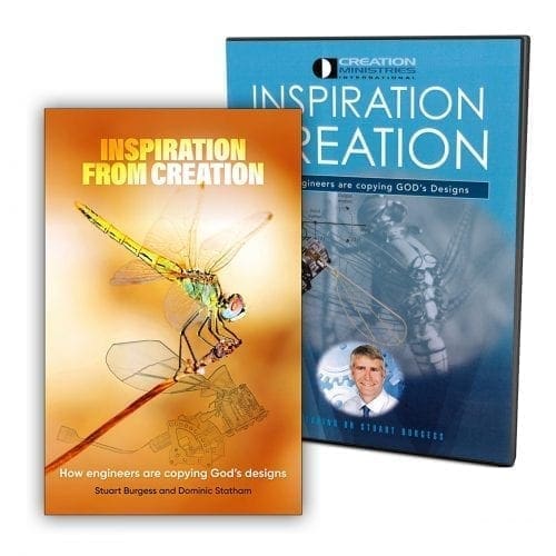 Inspiration from Creation book and dvd
