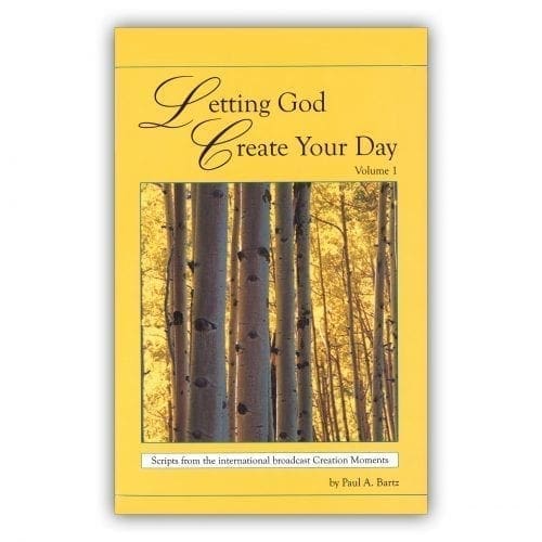 Letting God Create Your Day, Volume 1 | Book