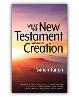 New Testament Says About Creation