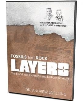 Fossils and Rock Layers-