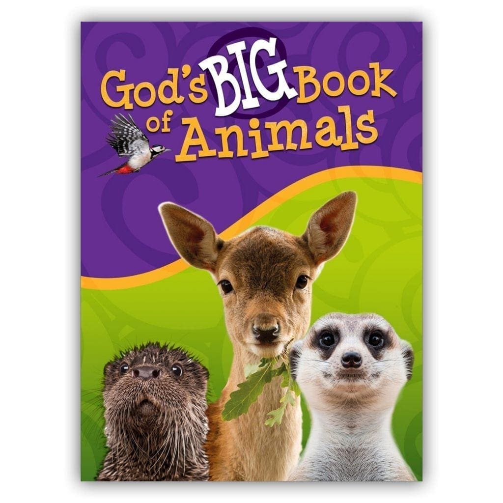 God's Big Book of Animals Book by Orit Kashtan | MB - Children's Books