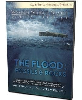 The Flood: Fossils & Rocks DVD