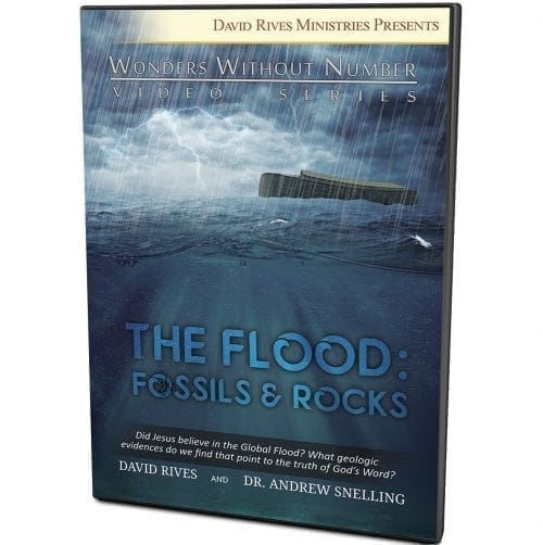 The Flood: Fossils & Rocks DVD