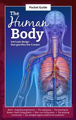 Human Body Pocket Guide