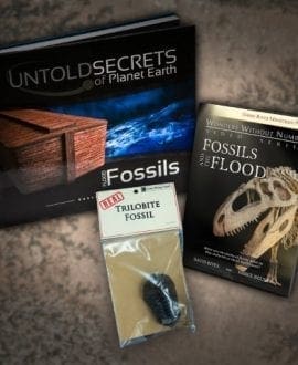FLOOD FOSSILS Book and DVD Bundle
