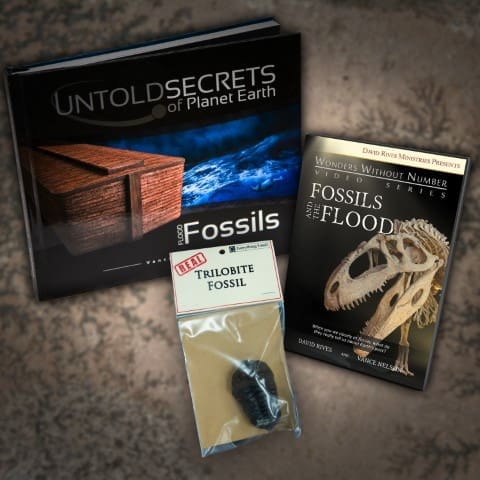 FLOOD FOSSILS Book and DVD Bundle