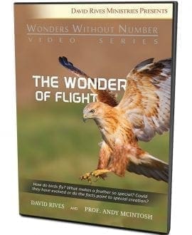 The Wonder of Flight DVD