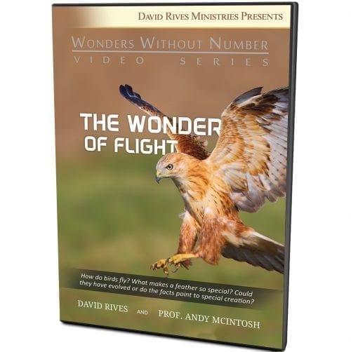 The Wonder of Flight DVD