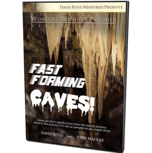Fast Forming Caves DVD