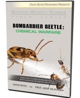 Bombardier Beetle: Chemical Warfare DVD