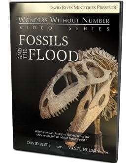 Fossils and the Flood DVD