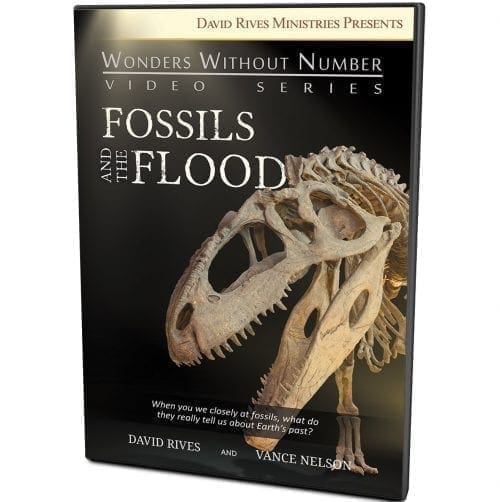 Fossils and the Flood DVD