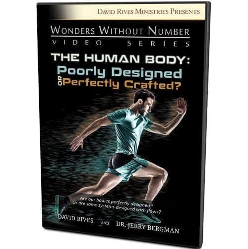 The Human Body DVD