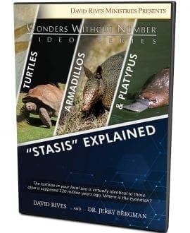 Stasis Explained DVD